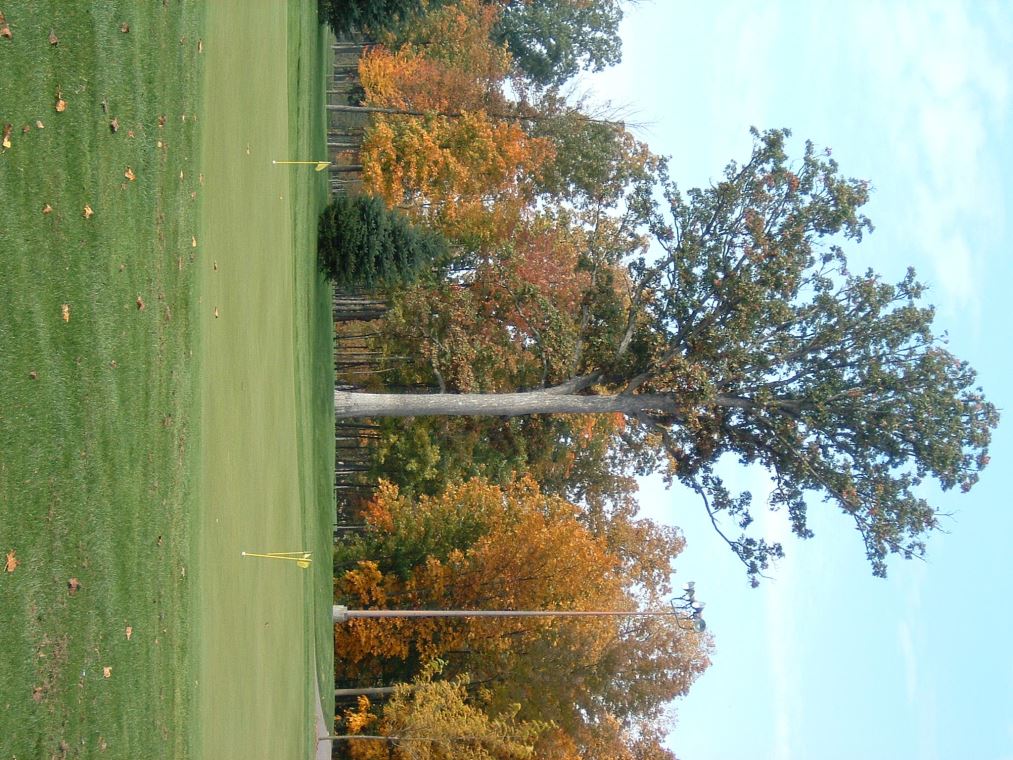 Hole 18