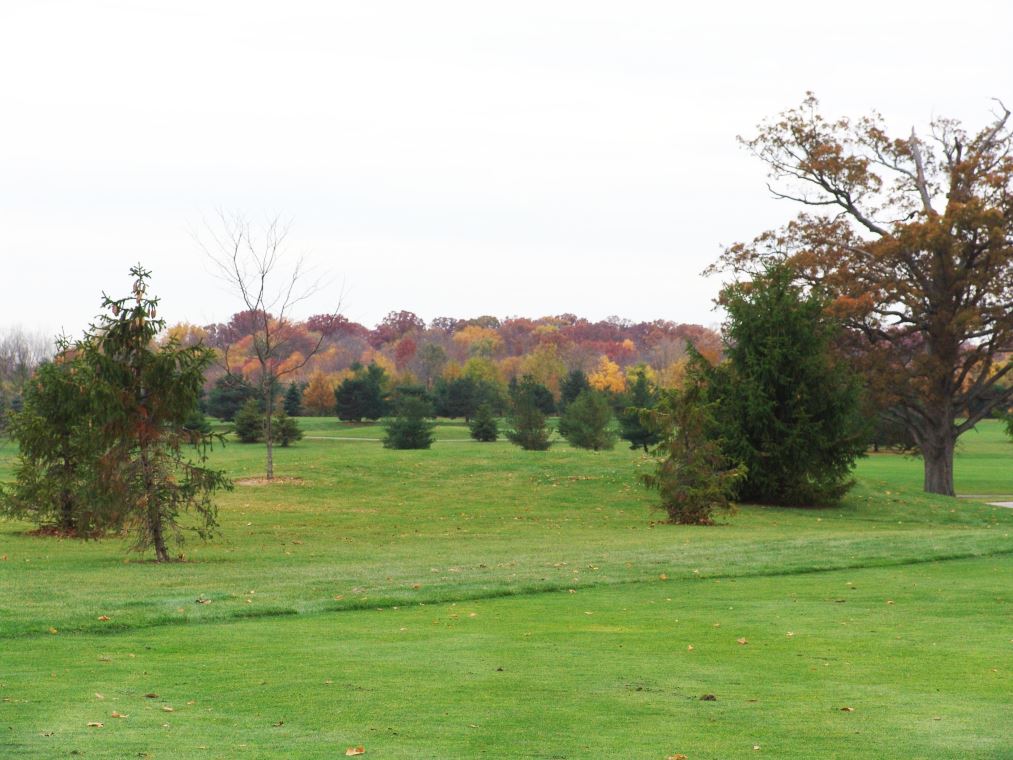 Oakhaven Fall Pics 007