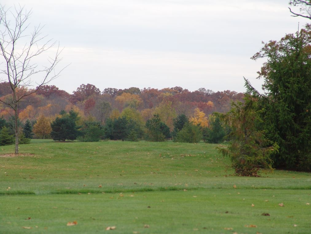 Oakhaven Fall Pics 008