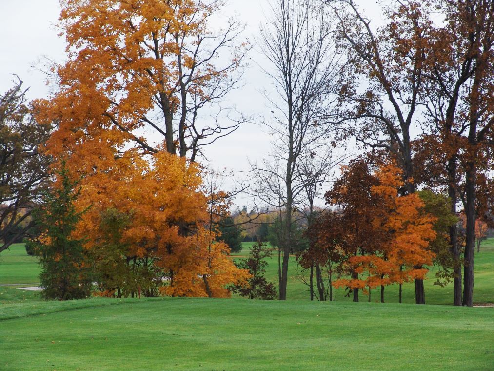 Oakhaven Fall Pics 009