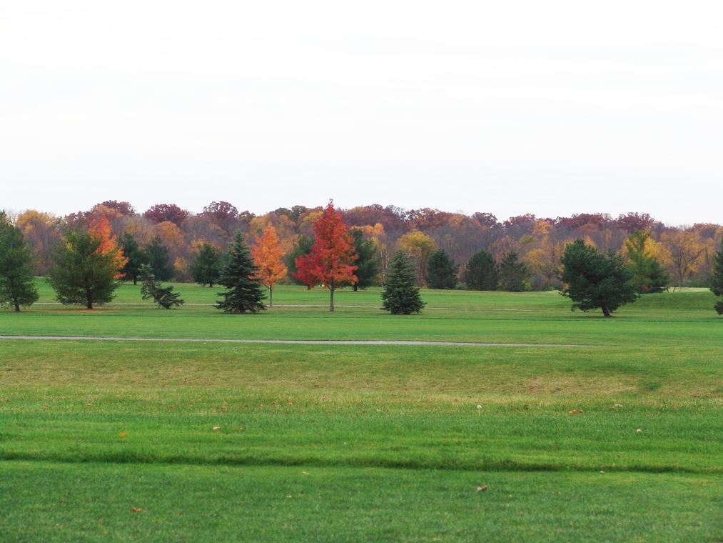Oakhaven Fall Pics 019