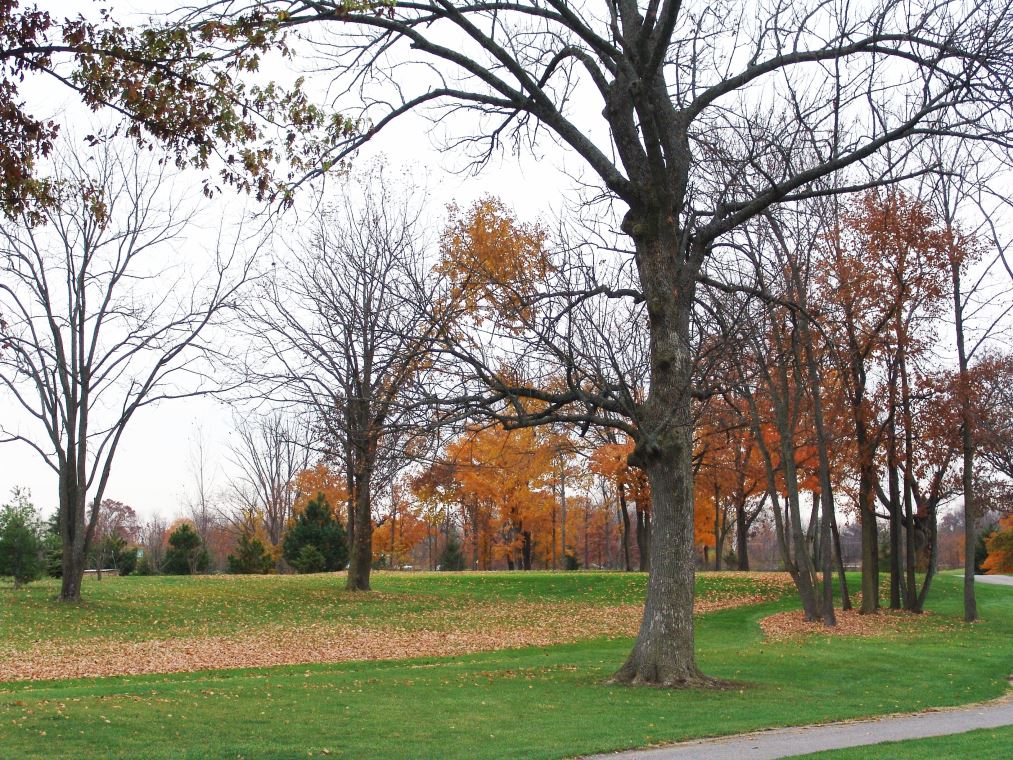 Oakhaven Fall Pics 022
