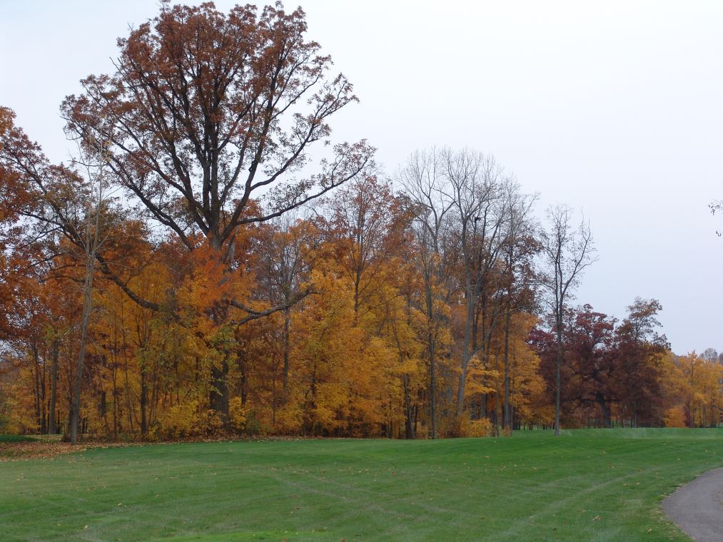 Oakhaven Fall Pics 028