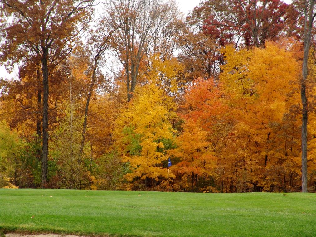 Oakhaven Fall Pics 032