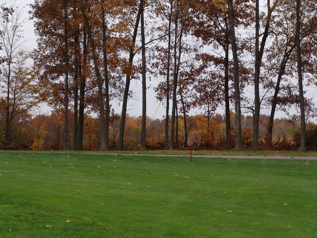 Oakhaven Fall Pics 036