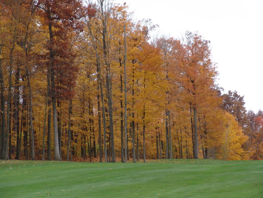 Oakhaven Fall Pics 053