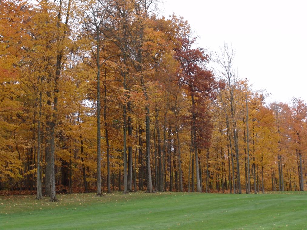 Oakhaven Fall Pics 054
