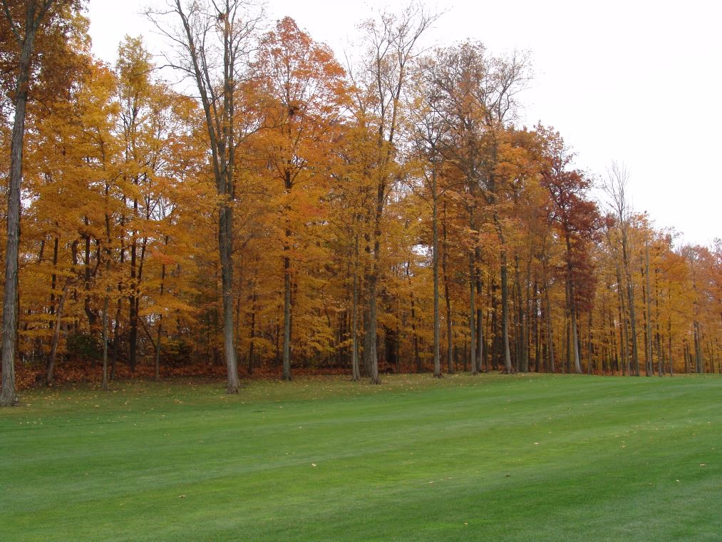 Oakhaven Fall Pics 055