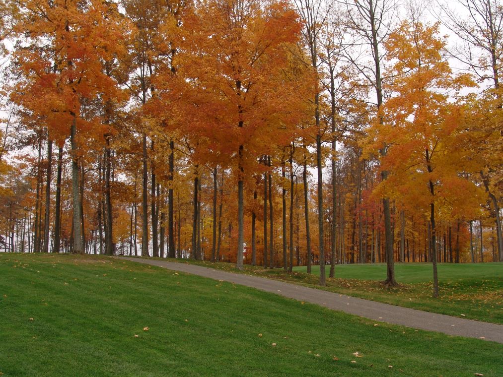 Oakhaven Fall Pics 056