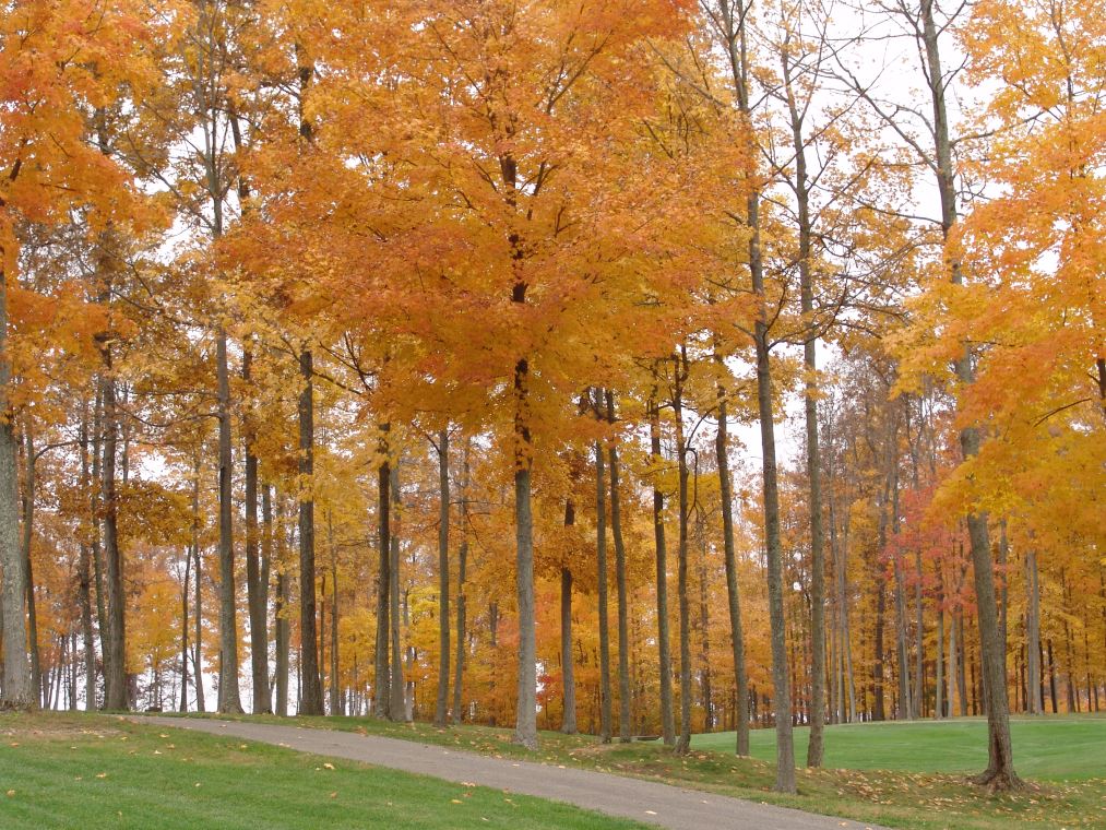 Oakhaven Fall Pics 057