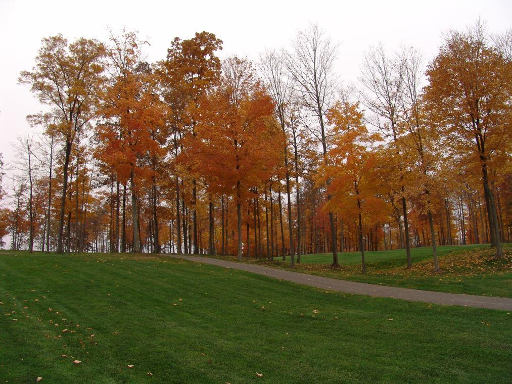 Oakhaven Fall Pics 058
