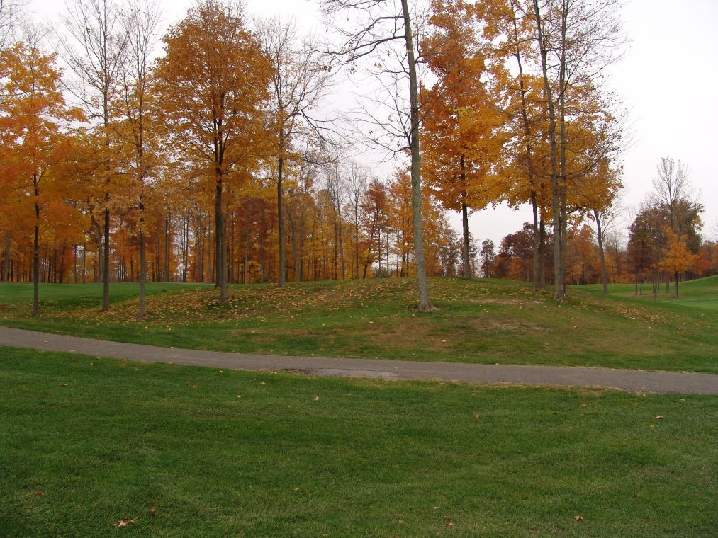 Oakhaven Fall Pics 059