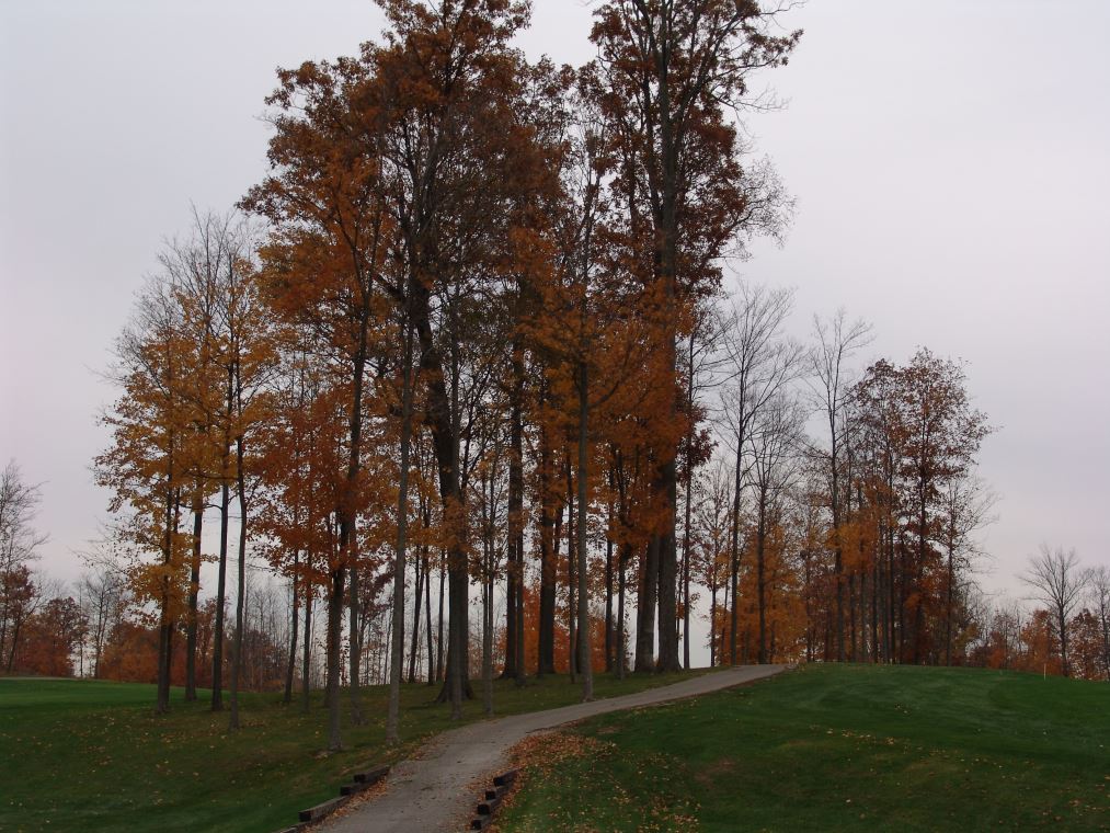 Oakhaven Fall Pics 060