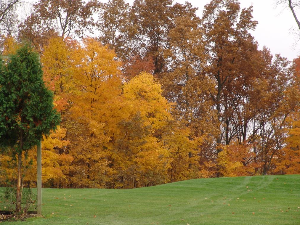 Oakhaven Fall Pics 064