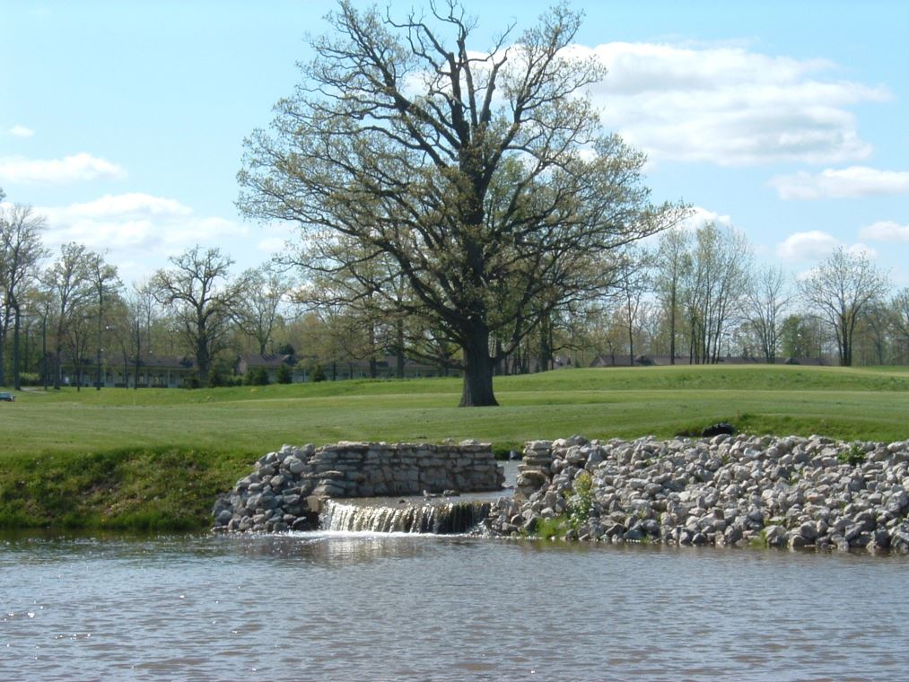 Waterfall Oak